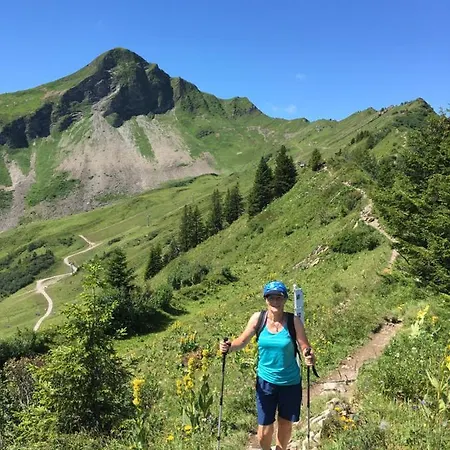 Rüf Bed and breakfast Au (Bregenz)