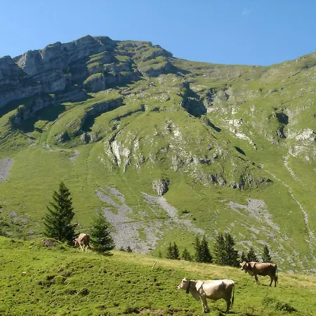 Fruehstueckspension Ruef