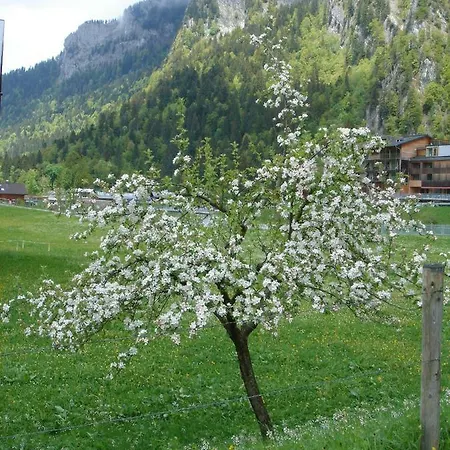 Fruehstueckspension Ruef Bed & Breakfast